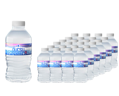 0,33 LT PÜRSU PET (12Lİ)